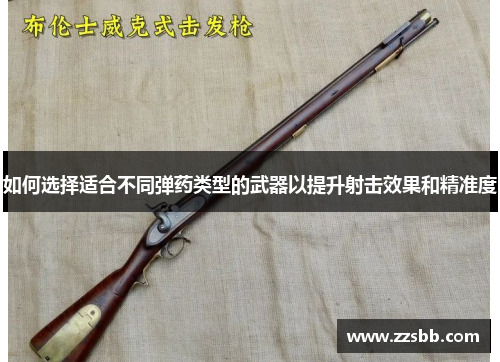 如何选择适合不同弹药类型的武器以提升射击效果和精准度