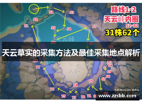 天云草实的采集方法及最佳采集地点解析