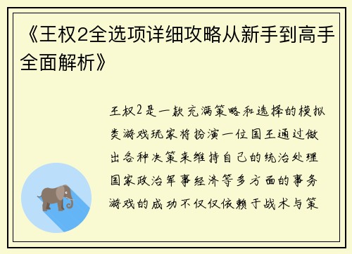 《王权2全选项详细攻略从新手到高手全面解析》
